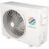 Loriot Neon LAC-24TA Loriot Neon LAC-24TA