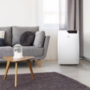 Electrolux Bliss Art EACM-12 GT/N6