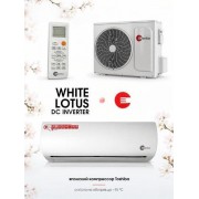 Denko White Lotus DC Inverter DECH-24inv