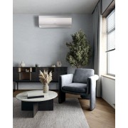 Electrolux Skyworth EACS/I-09HVA/HC/N8